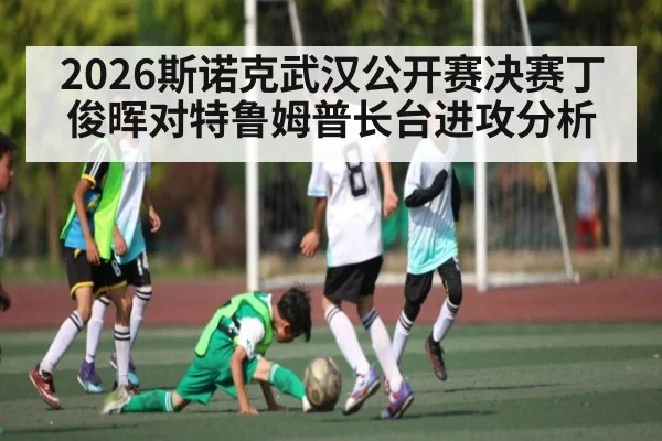 2026斯诺克武汉公开赛决赛丁俊晖对特鲁姆普长台进攻分析